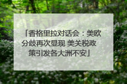 香格里拉对话会：美欧分歧再次显现 美关税政策引发各大洲不安