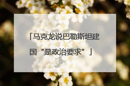 马克龙说巴勒斯坦建国“是政治要求”