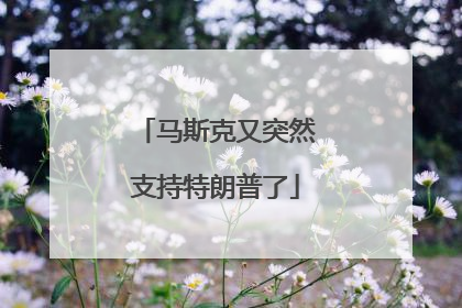 马斯克又突然支持特朗普了