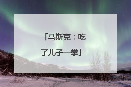 马斯克：吃了儿子一拳