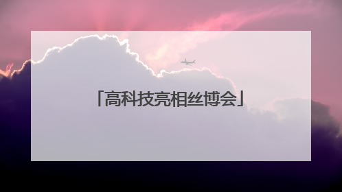 高科技亮相丝博会