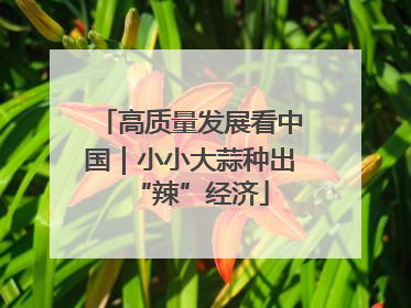 高质量发展看中国｜小小大蒜种出“辣”经济