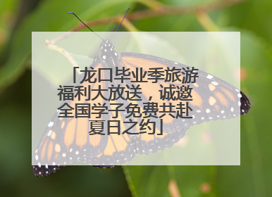 龙口毕业季旅游福利大放送，诚邀全国学子免费共赴夏日之约