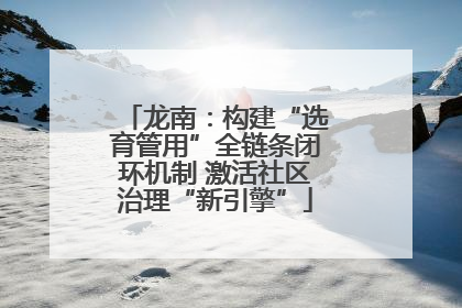 龙南：构建“选育管用”全链条闭环机制 激活社区治理“新引擎”