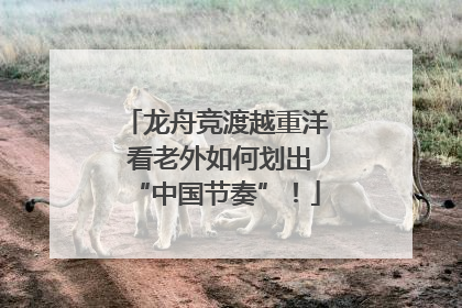 龙舟竞渡越重洋 看老外如何划出“中国节奏”！