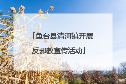 鱼台县清河镇开展反邪教宣传活动