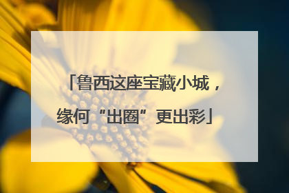 鲁西这座宝藏小城，缘何“出圈”更出彩