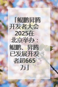 鲲鹏昇腾开发者大会2025在北京举办：鲲鹏、昇腾已发展开发者超665万