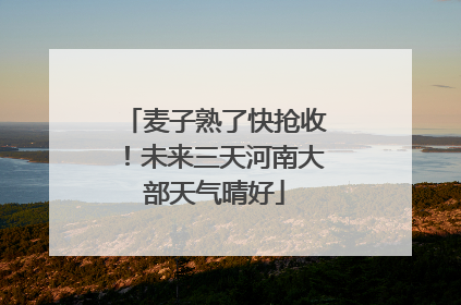 麦子熟了快抢收！未来三天河南大部天气晴好
