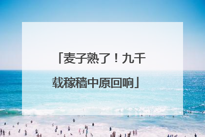 麦子熟了！九千载稼穑中原回响