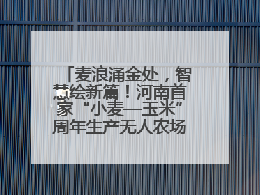 麦浪涌金处，智慧绘新篇！河南首家“小麦—玉米”周年生产无人农场喜迎丰收