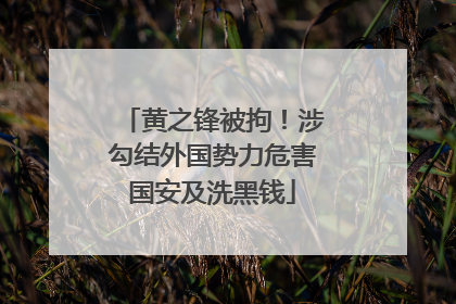 黄之锋被拘！涉勾结外国势力危害国安及洗黑钱