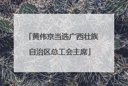 黄伟京当选广西壮族自治区总工会主席
