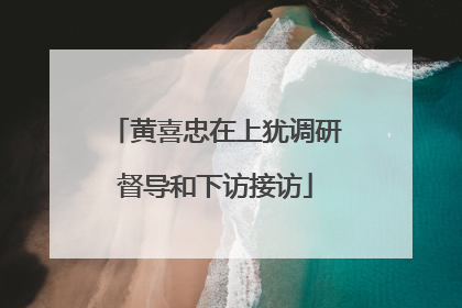 黄喜忠在上犹调研督导和下访接访