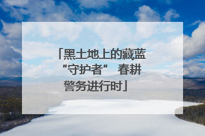 黑土地上的藏蓝“守护者” 春耕警务进行时