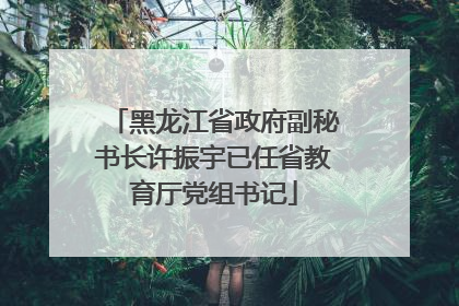 黑龙江省政府副秘书长许振宇已任省教育厅党组书记