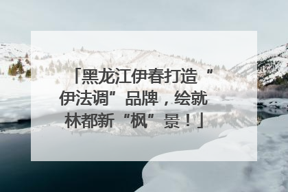 黑龙江伊春打造“伊法调”品牌，绘就林都新“枫”景！