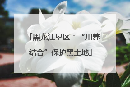 黑龙江垦区：“用养结合”保护黑土地
