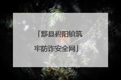 黟县碧阳镇筑牢防诈安全网