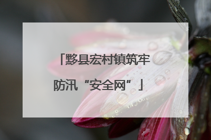 黟县宏村镇筑牢防汛“安全网”