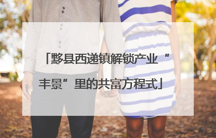 黟县西递镇解锁产业“丰景”里的共富方程式