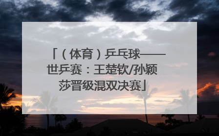 （体育）乒乓球——世乒赛：王楚钦/孙颖莎晋级混双决赛