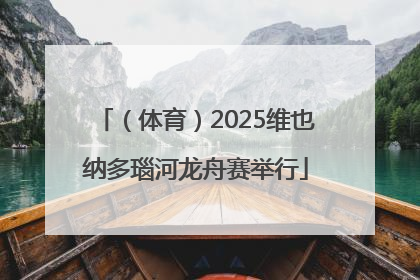 （体育）2025维也纳多瑙河龙舟赛举行