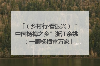 （乡村行·看振兴）“中国杨梅之乡”浙江余姚：一颗杨梅富万家