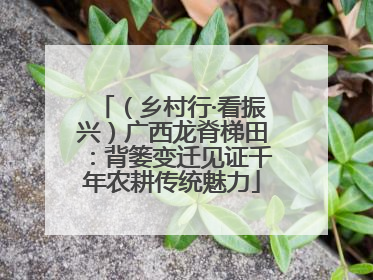（乡村行·看振兴）广西龙脊梯田：背篓变迁见证千年农耕传统魅力