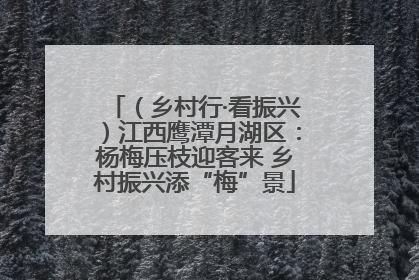 （乡村行·看振兴）江西鹰潭月湖区：杨梅压枝迎客来 乡村振兴添“梅”景