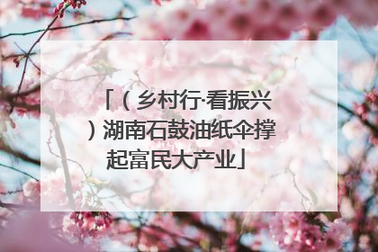 （乡村行·看振兴）湖南石鼓油纸伞撑起富民大产业