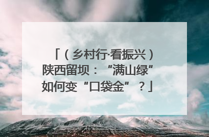 （乡村行·看振兴）陕西留坝：“满山绿”如何变“口袋金”？