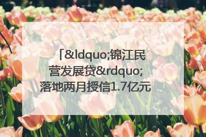 “锦江民营发展贷”落地两月授信1.7亿元，惠及118家民企