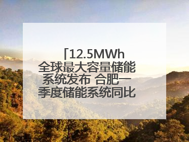 12.5MWh全球最大容量储能系统发布 合肥一季度储能系统同比增长425%