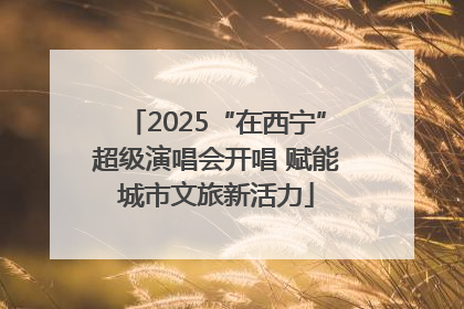 2025“在西宁”超级演唱会开唱 赋能城市文旅新活力