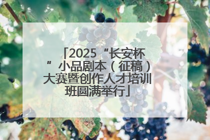 2025“长安杯”小品剧本（征稿）大赛暨创作人才培训班圆满举行