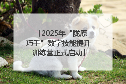 2025年“陇原巧手”数字技能提升训练营正式启动
