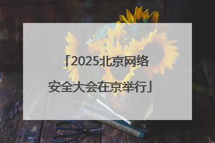 2025北京网络安全大会在京举行