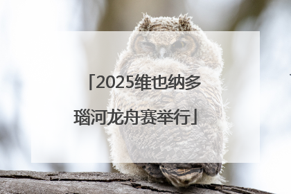 2025维也纳多瑙河龙舟赛举行