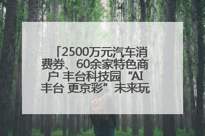 2500万元汽车消费券、60余家特色商户 丰台科技园“AI丰台 更京彩”未来玩家市集活动正式开幕