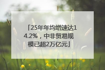 25年年均增速达14.2%，中非贸易规模已超2万亿元