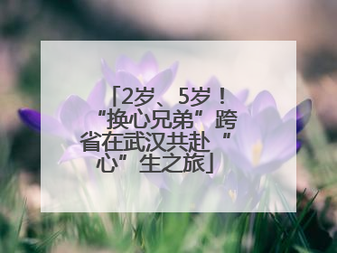 2岁、5岁！“换心兄弟”跨省在武汉共赴“心”生之旅