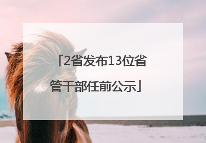 2省发布13位省管干部任前公示