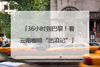 36小时到巴黎！看云南咖啡“出滇记”