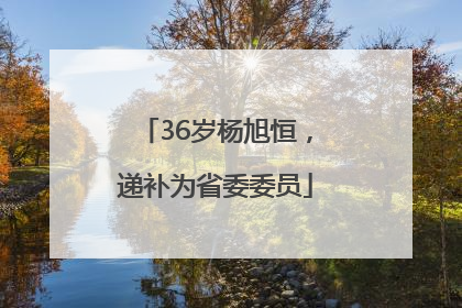 36岁杨旭恒，递补为省委委员
