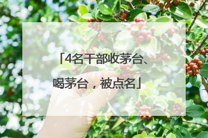 4名干部收茅台、喝茅台，被点名