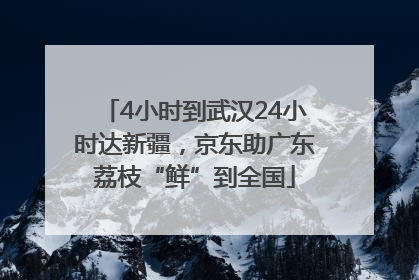 4小时到武汉24小时达新疆，京东助广东荔枝“鲜”到全国