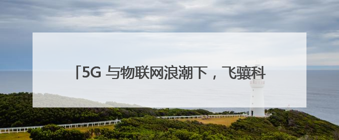 5G 与物联网浪潮下，飞骧科技以射频前端芯片技术突围市场