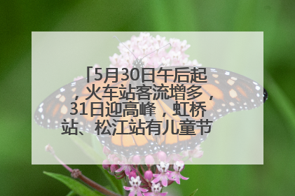 5月30日午后起，火车站客流增多，31日迎高峰，虹桥站、松江站有儿童节和端午亲子活动