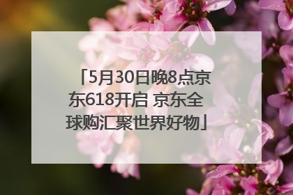 5月30日晚8点京东618开启 京东全球购汇聚世界好物